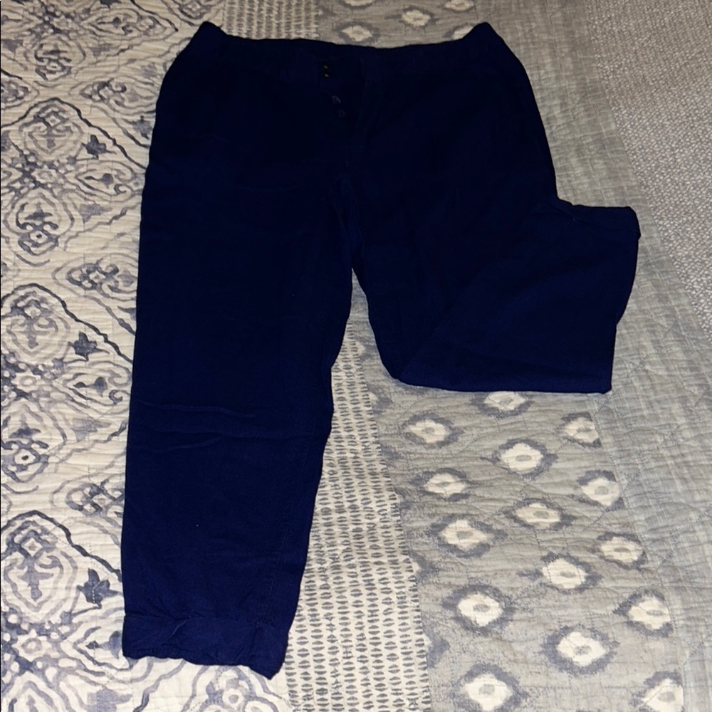 Free People Blue Cropped Ankle Pants